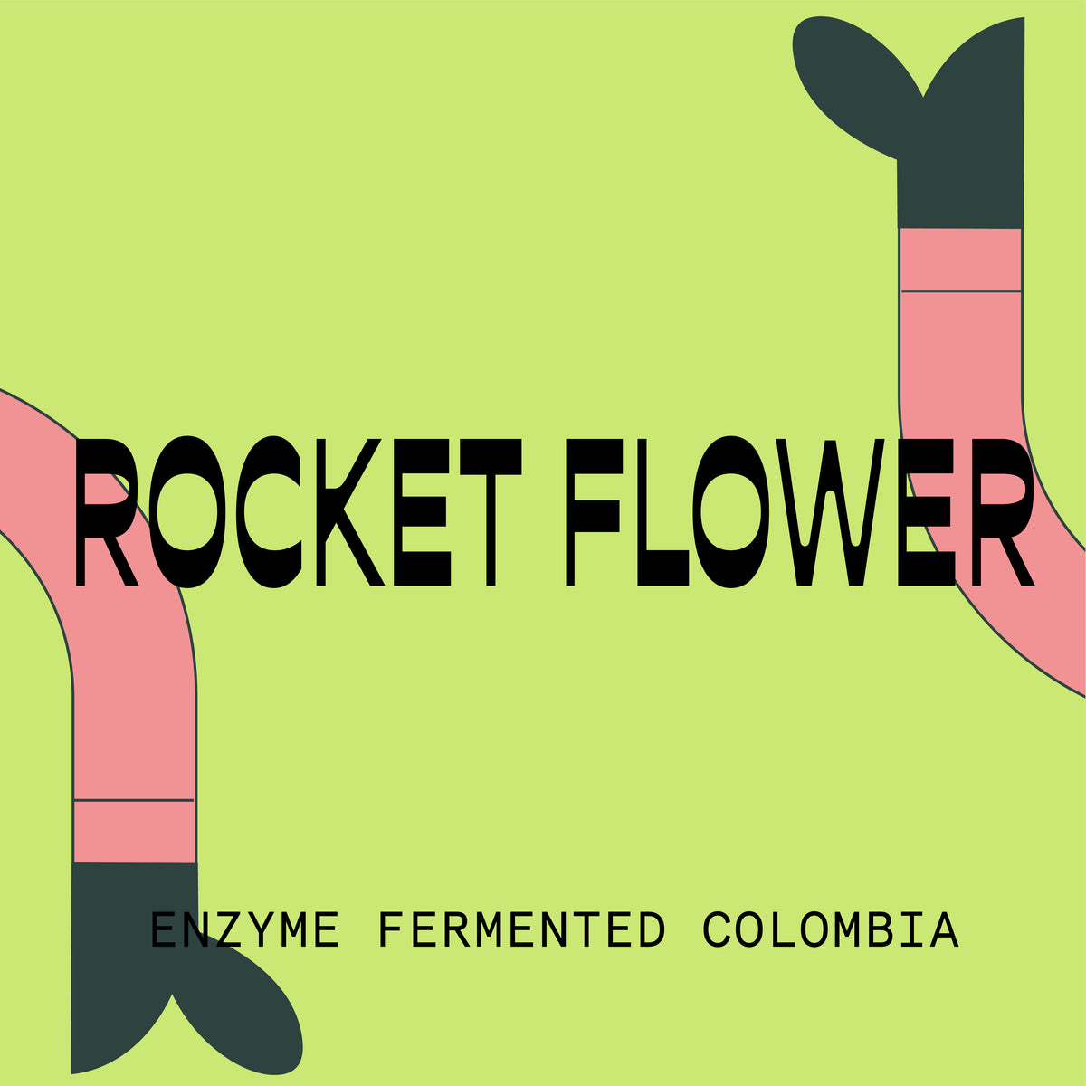 Rocket Flower Enzyme Fermented Colombia